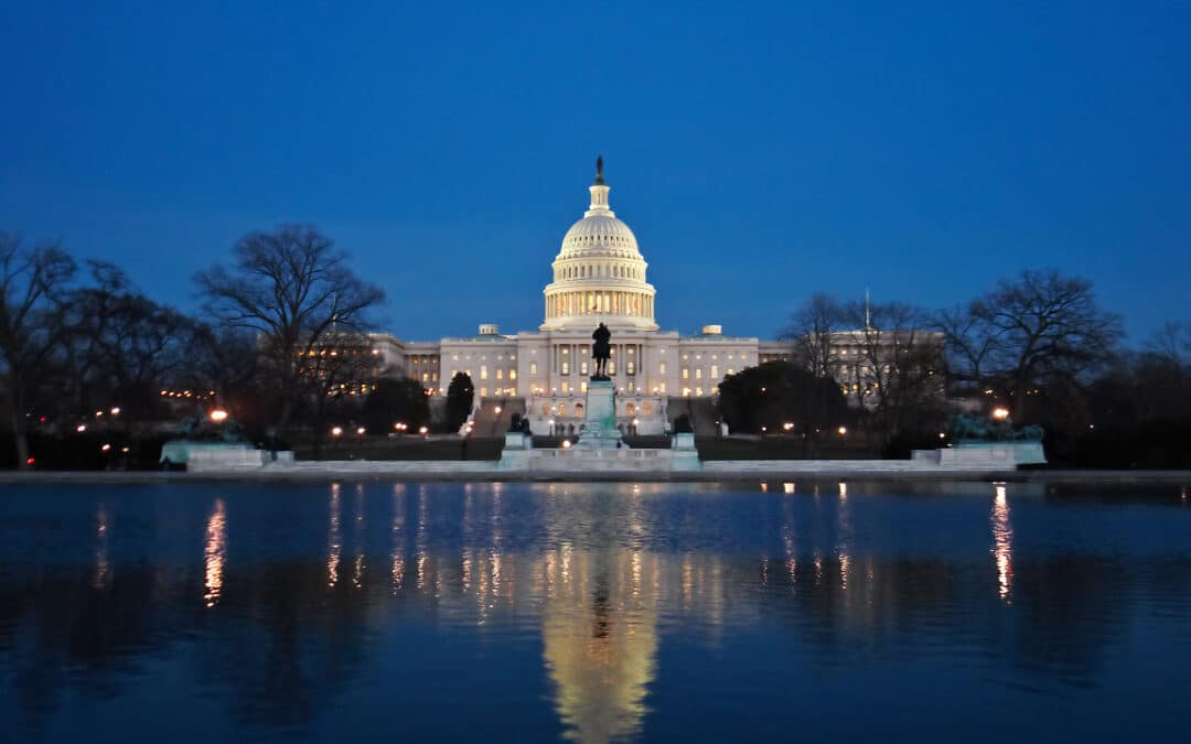 Elegant Concierge Services Reviews Boston and Washington D.C. 3