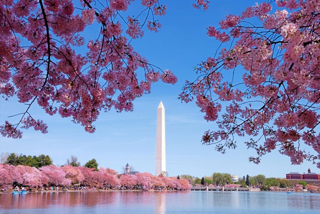 Elegant Concierge Services Reviews Boston and Washington D.C. 4