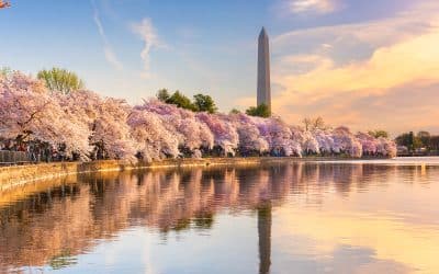 Best Free Museums and Memorials In D.C. By Elegant Concierge Services